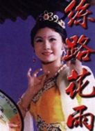 電影絲路花雨海報(bào)