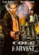 復(fù)仇戰(zhàn)士（2008）