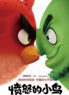 憤怒的小鳥(niǎo)（國(guó)語(yǔ)）