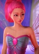 芭比之蝴蝶仙子和精靈公主
