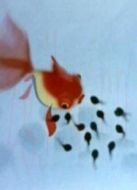 小蝌蚪找媽媽（動畫）