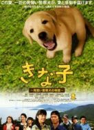 實習(xí)警犬物語