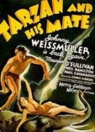 泰山和他們的伙伴們