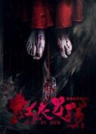 陰陽實錄之紅衣男孩