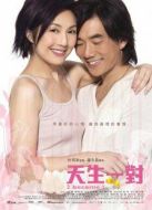 天生一對（2006）
