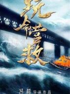 電影玩命營救海報(bào)