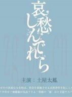 電影哀愁灰姑娘海報