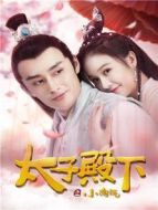 太子殿下之小淘氣