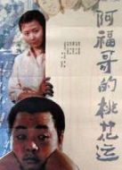 阿福哥的桃花運