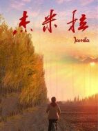 電影杰米拉海報(bào)