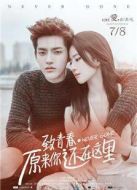 致青春：原來(lái)你還在這里