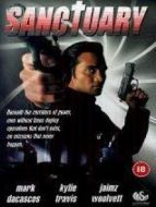 純粹的危機(jī)