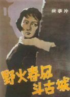電影野火春風(fēng)斗古城海報(bào)