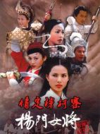 楊門女將情定穆柯寨