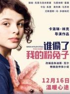 誰(shuí)偷了我的粉兔子