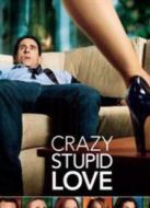 瘋狂愚蠢的愛