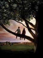 怦然心動(dòng)（美國）