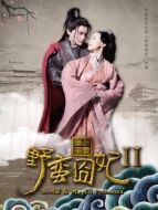 野蠻囧妃2：迷霧重重