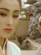 電影倚天屠龍記之魔教教主 粵語海報(bào)