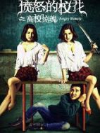 憤怒的校花之高校驚魂