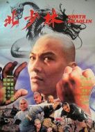 電影北少林海報(bào)