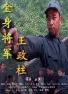 金身將軍王政柱