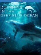 深藍色海洋里的海豚