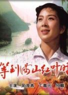 等到滿山紅葉時