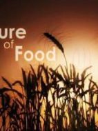 食物的未來