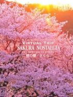 實(shí)境之旅:懷之櫻