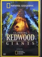 國家地理紅杉林大觀