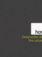 揭密:墨西哥灣漏油事件的真相