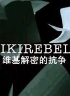 維基解密的抗?fàn)? height=