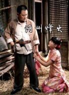 電影沔州烽火海報