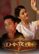 3D今夜情迷