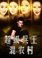 超級(jí)兵王混農(nóng)村