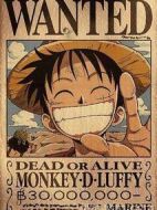 海賊王特別篇2路飛的絕技