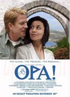 電影錯(cuò)失愛情海報(bào)