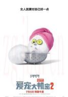 啾啾（博美犬）