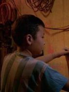 衛(wèi)衛(wèi)（小）