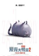 冰冰（虎斑貓）