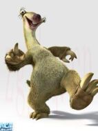 樹(shù)懶、希德