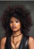 妮娜·瑟曼/多米諾