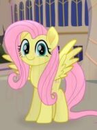 Fluttershy