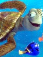 柯路西（Crush）