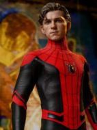 Peter Parker / Spider-Man