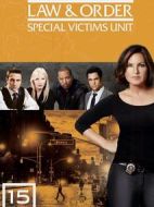 法律與秩序：特殊受害者第十五季