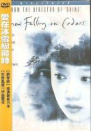 愛在冰雪紛飛時(shí)劇情介紹(1-20全集)