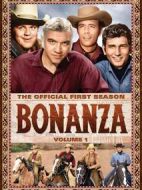 伯南扎的牛仔劇情介紹(1-430全集)