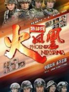 特種兵之火鳳凰劇情介紹(1-62全集)